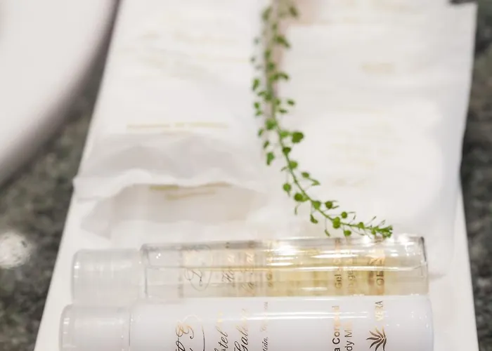 拉格瑞酒店 2* 圣塞瓦斯蒂安